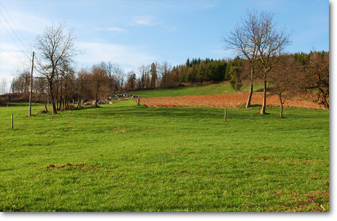 kmetija zoran